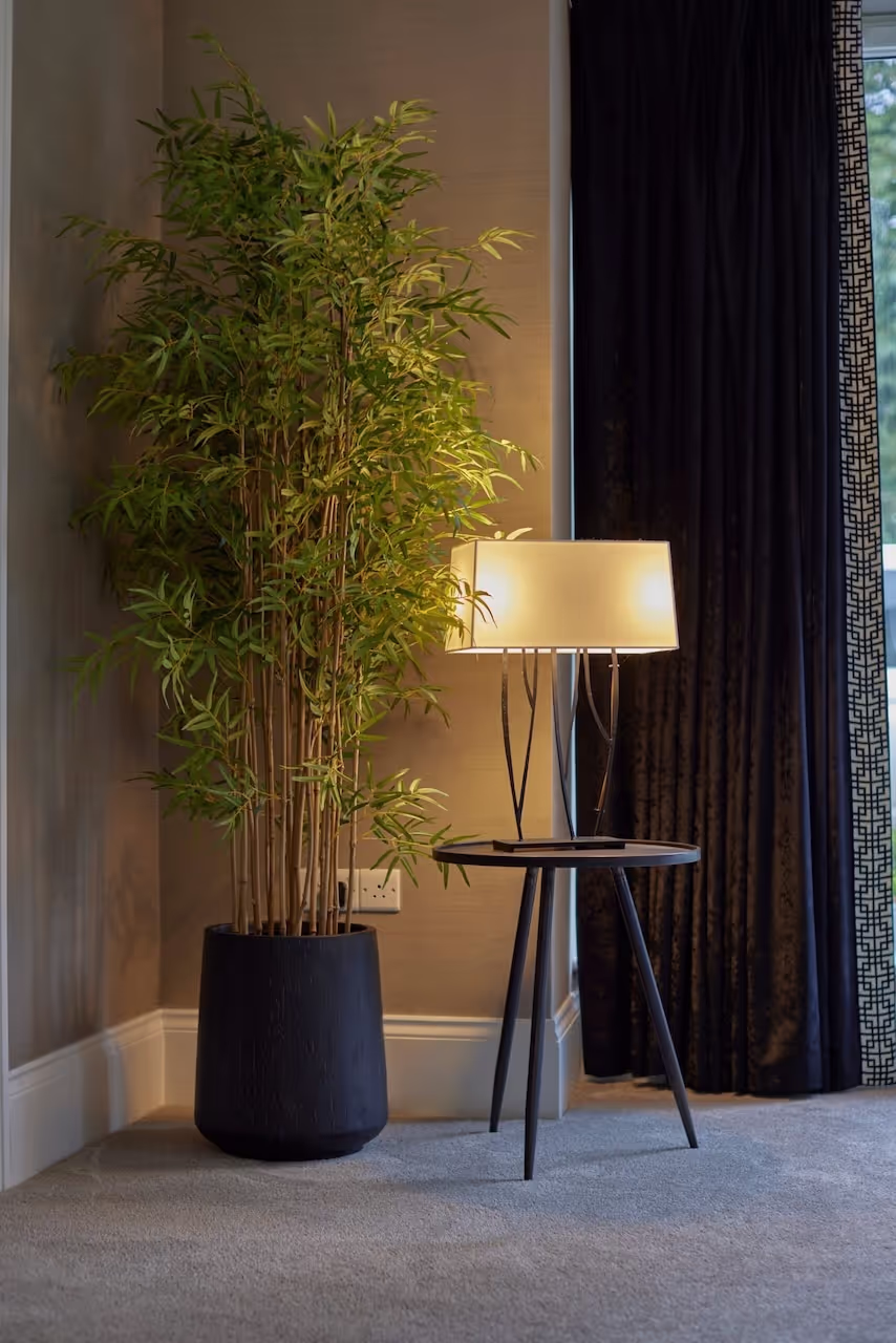 A floor lamp beside a softly textured, tonal wall in a Knutsford home